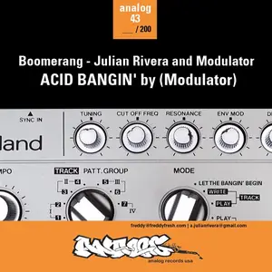 Cover art: Freddy Fresh & Julian Rivera – Acid Bangin'