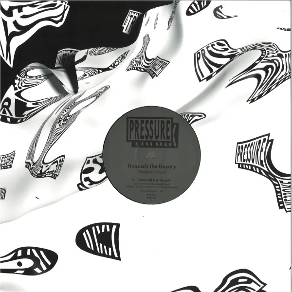 Cover art: Transparent Sound – Beneath The Beauty