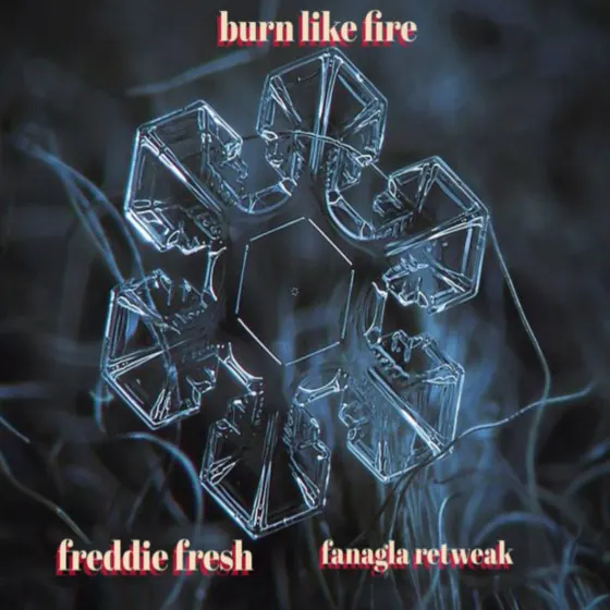 Cover art: Burn Like Fire