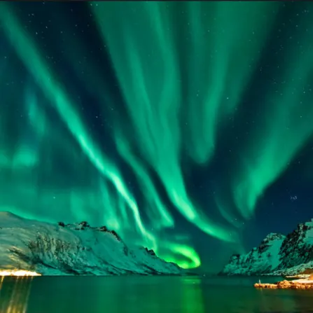 Cover art: One For Arianna