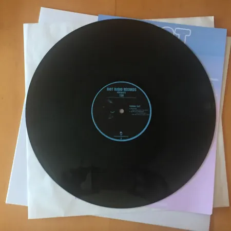 Cover art: TSR – Terror Shit (The Secret Surprise Thank you Gift For Being Such Crazy Bonkin' Nutters Versions)